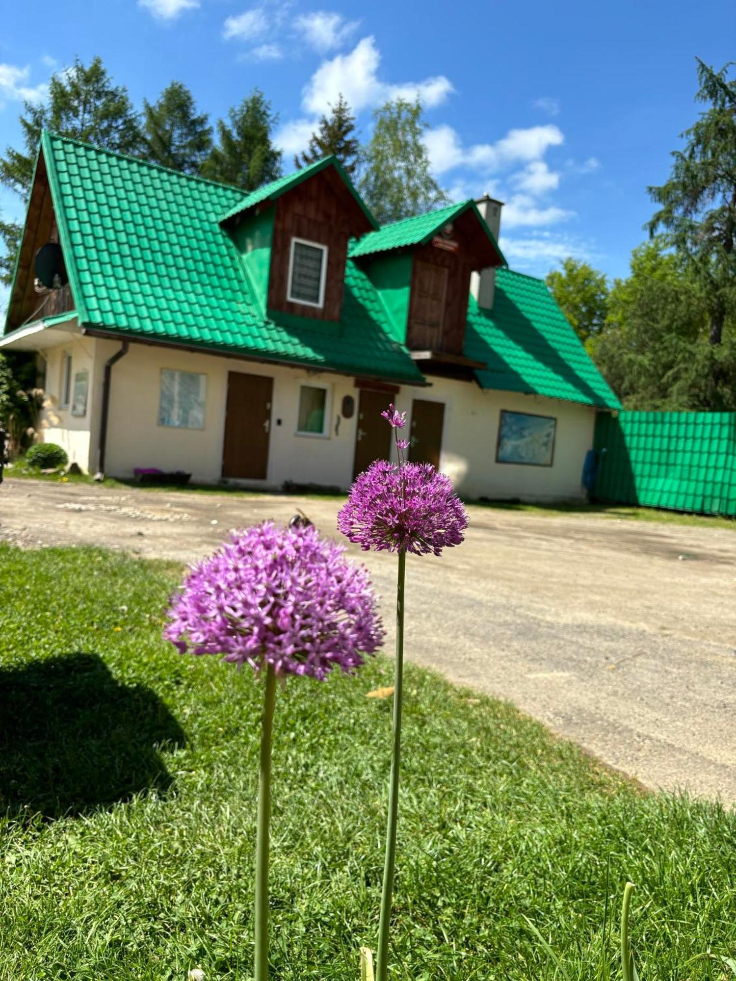 Latarnia Wagabundy Bieszczady Hotel Wola Michowa Exterior foto